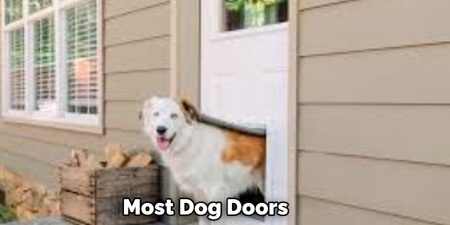 Most Dog Doors