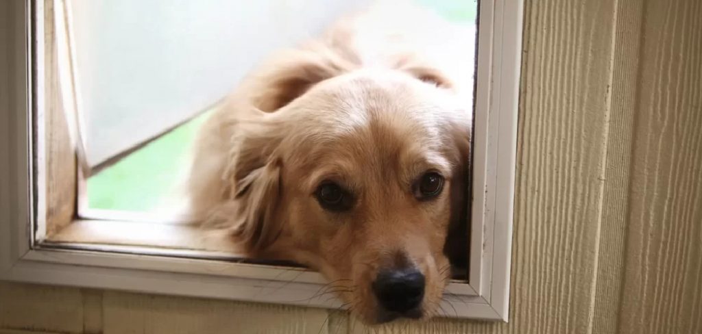 how to put a dog door in a metal door